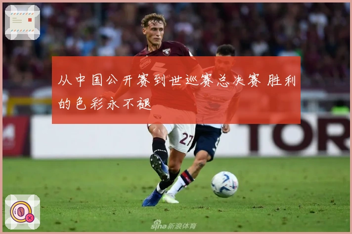 从中国公开赛到世巡赛总决赛 胜利的色彩永不褪